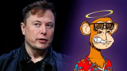 Elon Musk profil resmini değiştirdi, ApeCoin fırladı